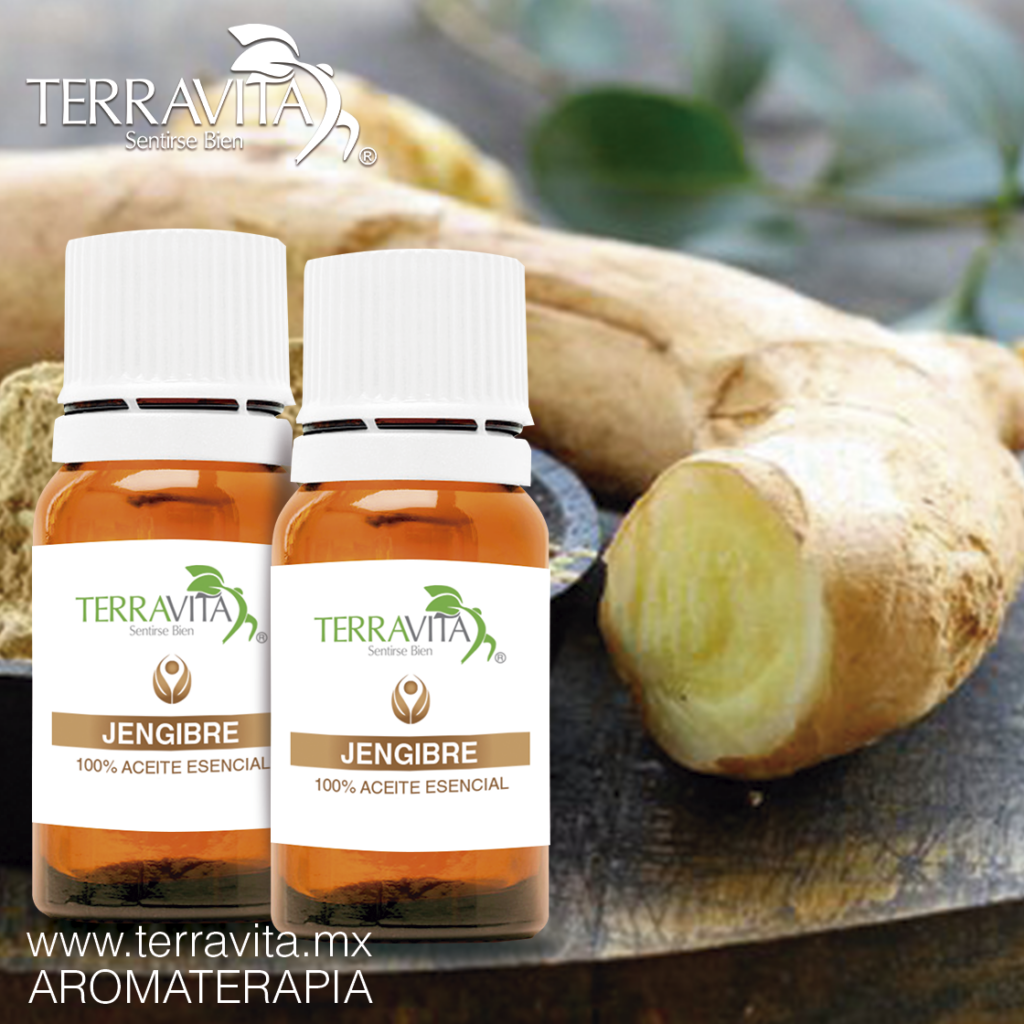 Aceite Escencial Jengibre