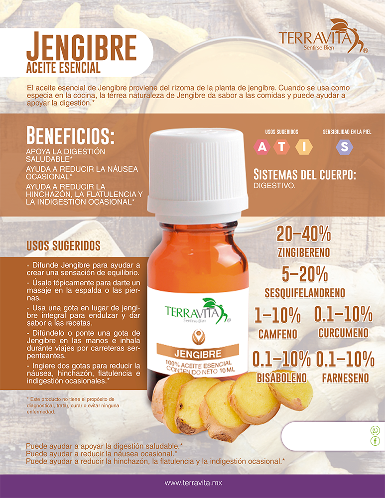 JENGIBRE Aceite Escencial Jengibre - Image 2