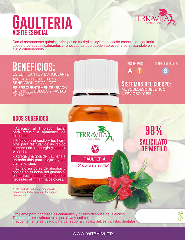 gaulteria Aceite esencial Wintergreen Gaulteria - Image 2