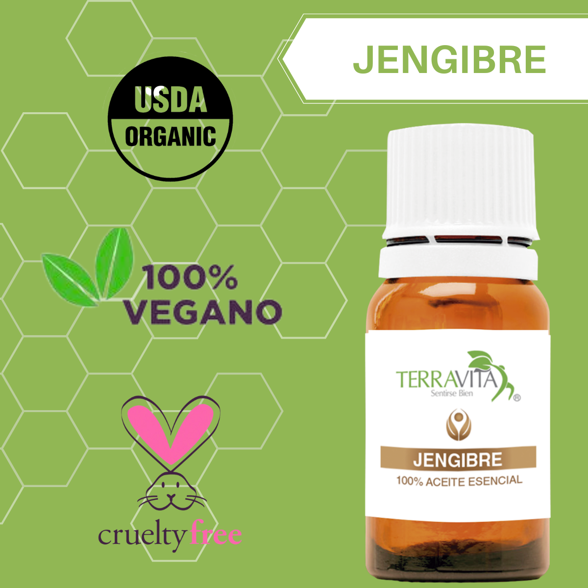 jengibre 1 jengibre 1