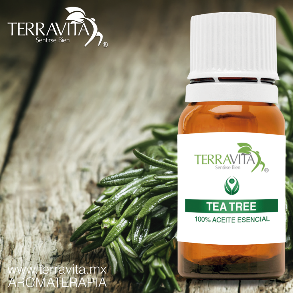 Aceite Esencial de Tea tree