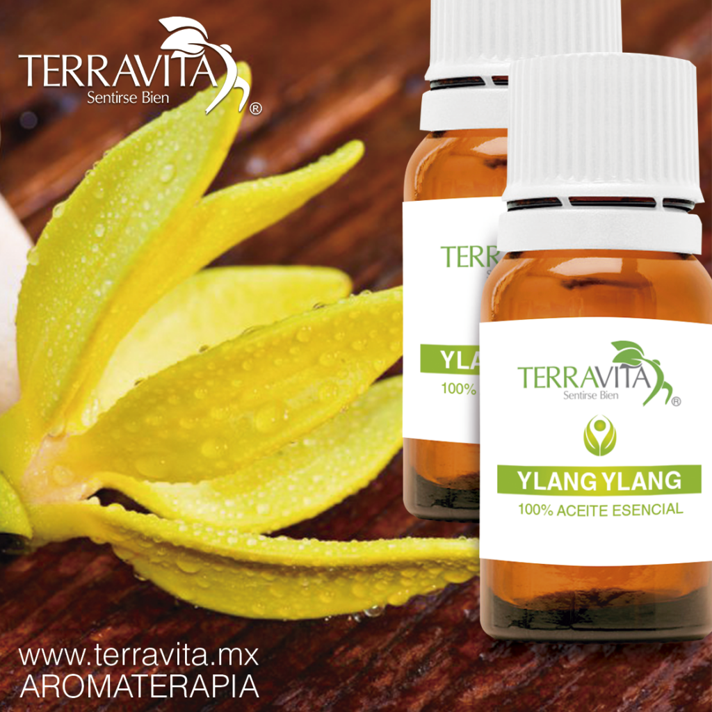 Ritual - Velas de masajes Aceite Esencial Ylang Ylang