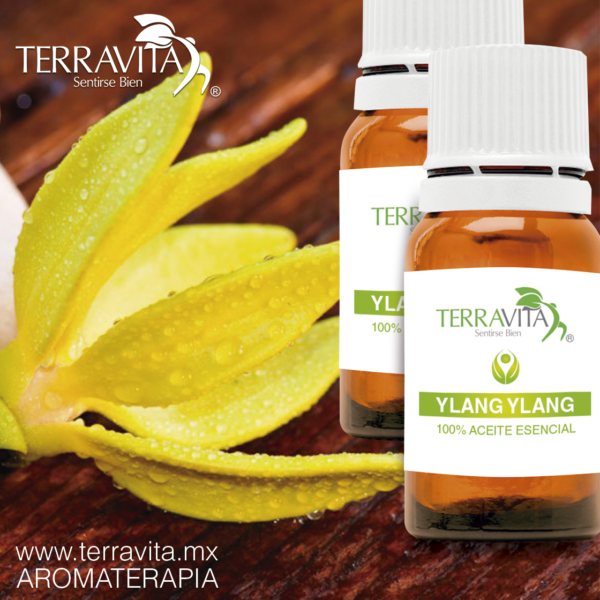 Ritual - Velas de masajes Aceite Esencial Ylang Ylang